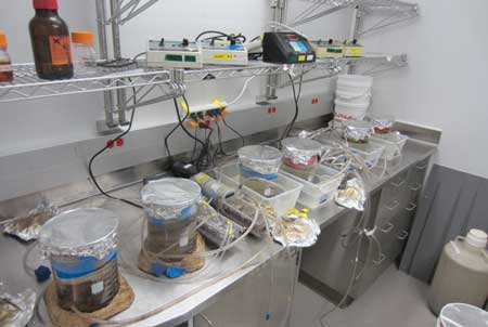microbial reactors