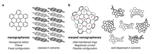 Structure and properties of nanographenes and warped nanographenes