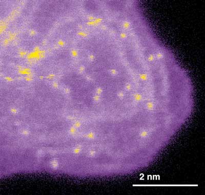 teScanning transmission electron microscopy shows a dispersion of single iron atoms (bright dots) supported on nanostructured carbon (dark purple)xt
