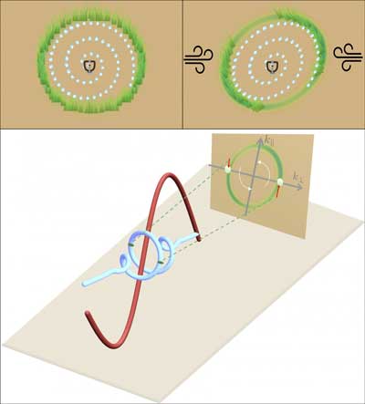 Reconstruction of Polarization Properties of the Ultra-Short Pulse