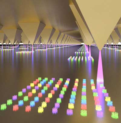 Biological Probes Are Patterned Into Biochips Using Nanoscopic Light-pens