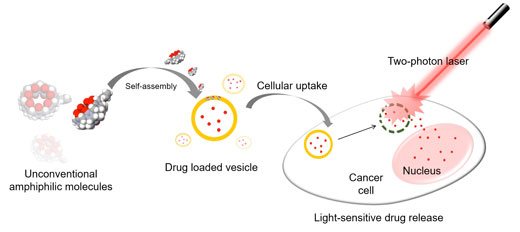 Hollow pumpkin-shaped molecules with allyloxy tails self-assemble into vesicles which can carry drugs into cancer cells