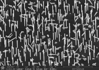 Nanowires on a silicon wafer