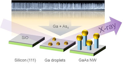 Small thin nanowires grow on a silicon wafer after bombardment of gallium droplets with gallium and arsenic