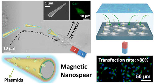 Precision-Guided Nanospears for Targeted and High-Throughput Intracellular Gene Delivery