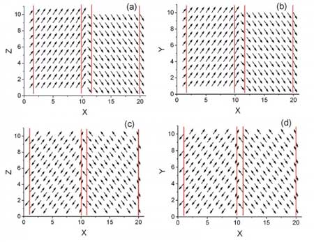 The red lines  illustrate the domain walls separating regions of electric polarization (top) and shifting of charged ions (bottom row) in a material called bismuth ferrite