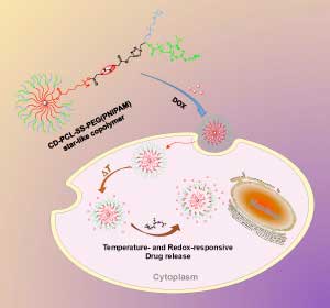 The change in temperature and chemical environment inside the cell triggers the nanoparticle to release its drug payload