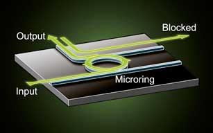 concept of a microring diode