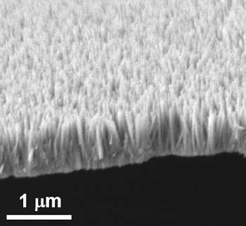 Zinc oxide nanopillars