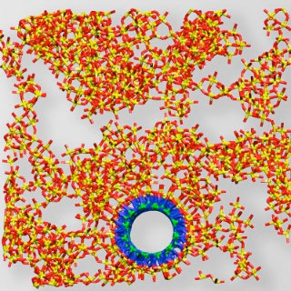 Boron nitride nanotubes in a silica matrix