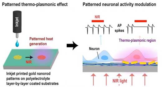schematic illustration of an inkjet-printed thermo-plasmonic interface for patterned neuromodulation on an in vitro cultured neuronal network