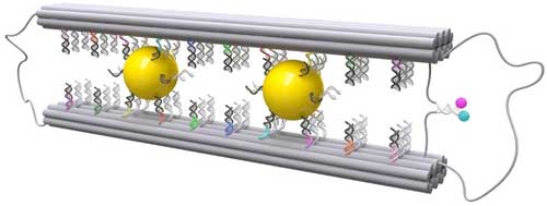 Mimicking nanoscale natural movements with the help of DNA Origami