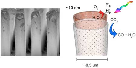 Core–Shell Nanotube Array for Artificial Photosynthesis