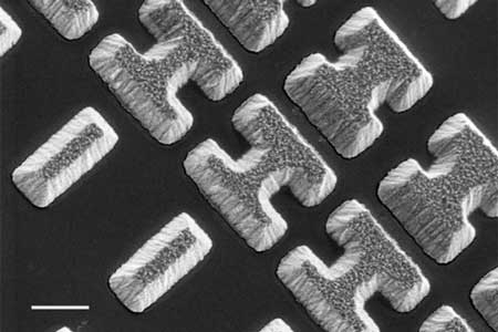 Scanning Electron Microscope image shows a few of the carefully designed shaped of the chalcogenide glass deposited on a clear substrate