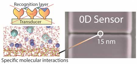 Selective layer-free blood serum ionogram based on ion-specific interactions with a nanotransistor