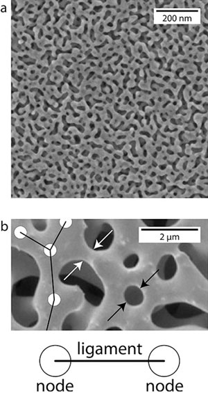 These images show some of the physical characteristics of nanoporous gold at different magnifications