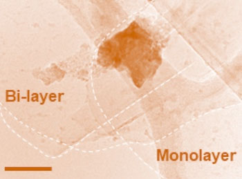 A transmission electron microscope image shows bi-layer and monolayer hematene