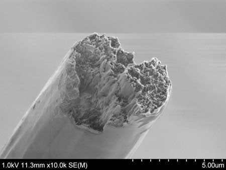 An artificial cellulose fiber made from cellulose nano fibrils seen with a scanning electron microscop