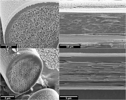 Scanning electron micrographs of man-made fibers emulating the optical properties of comet moth cocoon fibers