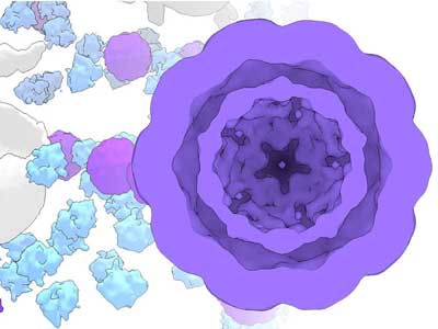 Modified Cryo-EM image of genetically expressed molecular workshops inside living cells