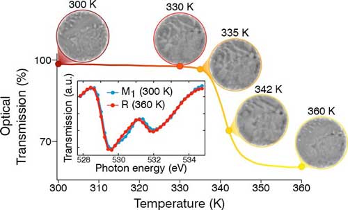 Phase Transition from Insulator to Metallic Phase in VO2 as a Function of the Temperature