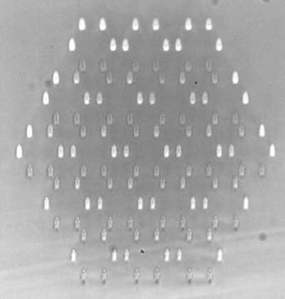 Microscope Image of Waveguide Array