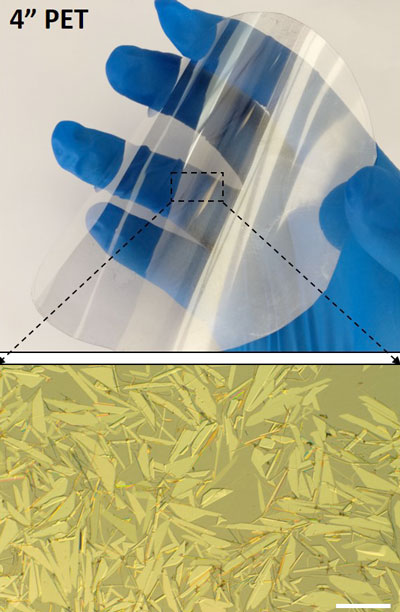 This graphic shows the large-scale transfer and assembly of tellurene on flexible PET substrates
