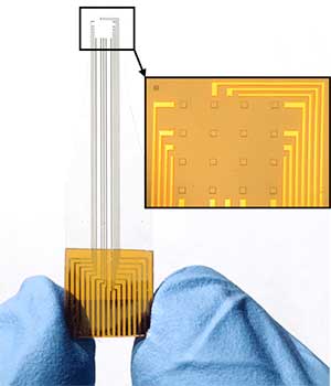 Low-impedance, transparent graphene microelectrode array