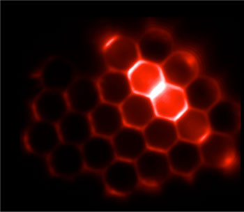 A wide-field image showing the light emitted by microlasers in a self-assembled 2D array