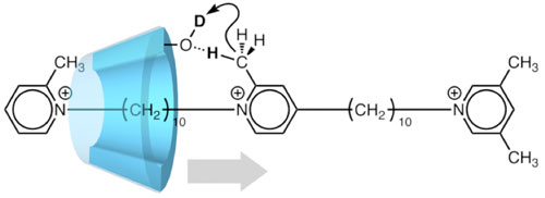 pseudo-rotaxane (artificial molecular machine) in which translational movement of ? cyclodextrin (?-CD) coincides with deuteration