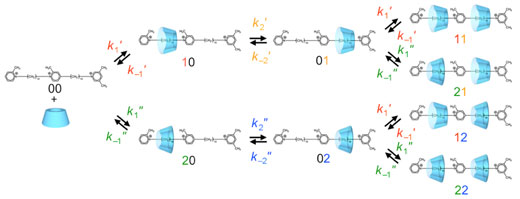 simplified kinetic model for the formation of pseudo-rotaxane from ?-CD and the two-station axis molecule