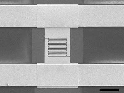 Electronmicroscopic image of the chip with asymmetric plasmonic antennas made from gold on sapphire