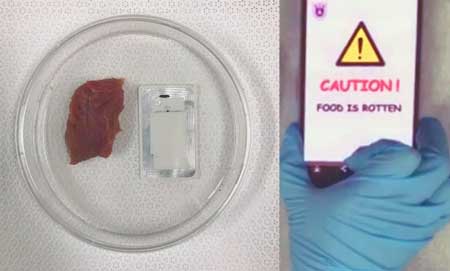 wireless sensing device that detects odors from 'bad' meat could help prevent food poisoning