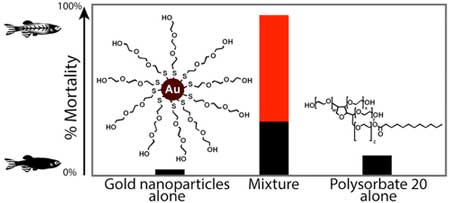 nanoparticle toxicity