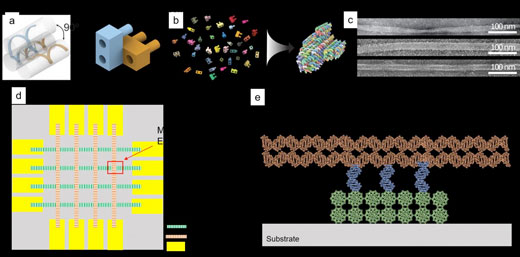 using self-assembling DNA molecules to build a DNA-ROM