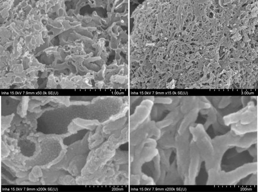 Carbon Extraction Replica of silicon nanotubes