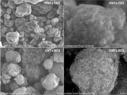 SEM Images of carbon nanotubes