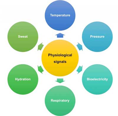 Categories of commonly detectable physiological signals