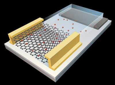 graphene-based artificial synapse