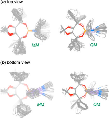 A comparison of the overlays of the wire representations of all of the 53 molecular conformations derived through molecular mechanical and quantum mechanical calculations