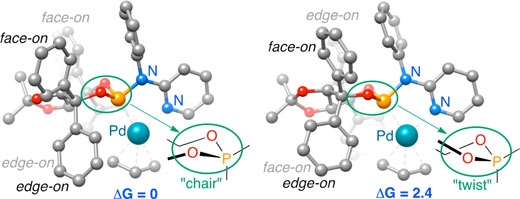 the most stable conformations of a TADDOL-based phosphor-amidite P,N ligand coordinated to a palladium fragment