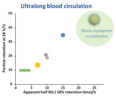Polymer crystalsome nanoparticles have a 24-hour half-life and can last in the bloodstream for more than 96 hours