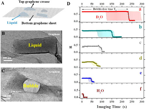 Graphene pocket protects the sample contained in the liquid