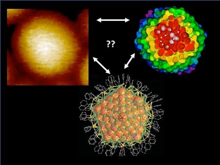 silver nanoparticle of 374 silver atoms covered by 113 TBBT molecules