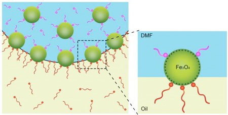 a ligand binds to the surface of nanocrystals (green), competes with the binding of polymer strands (red) in a process that causes the crystals to behave in a solid-like state