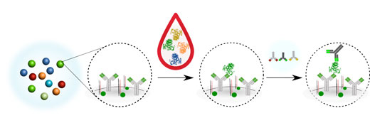 New technology can detect hundreds of proteins in a single sample