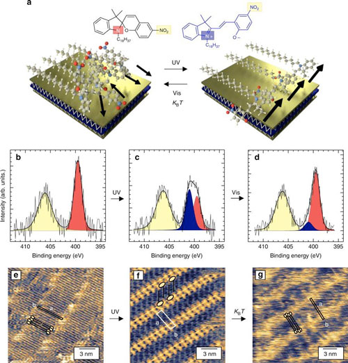 Photo-switchable molecular crystals in two dimensions