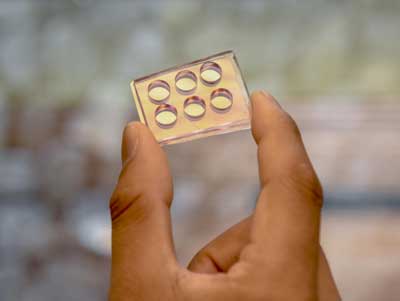 Nanomushroom Chip