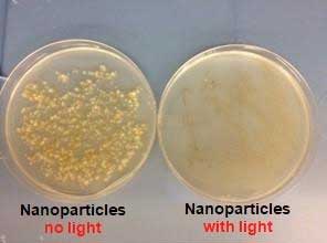 Bacteria with nanoparticle photosensitizers grow before illumination (left), but are killed after illumination (right)