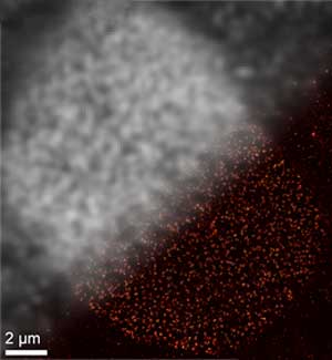 SOMAmer-based DNA-PAINT super-resolution microscopy enables improved spatial resolution